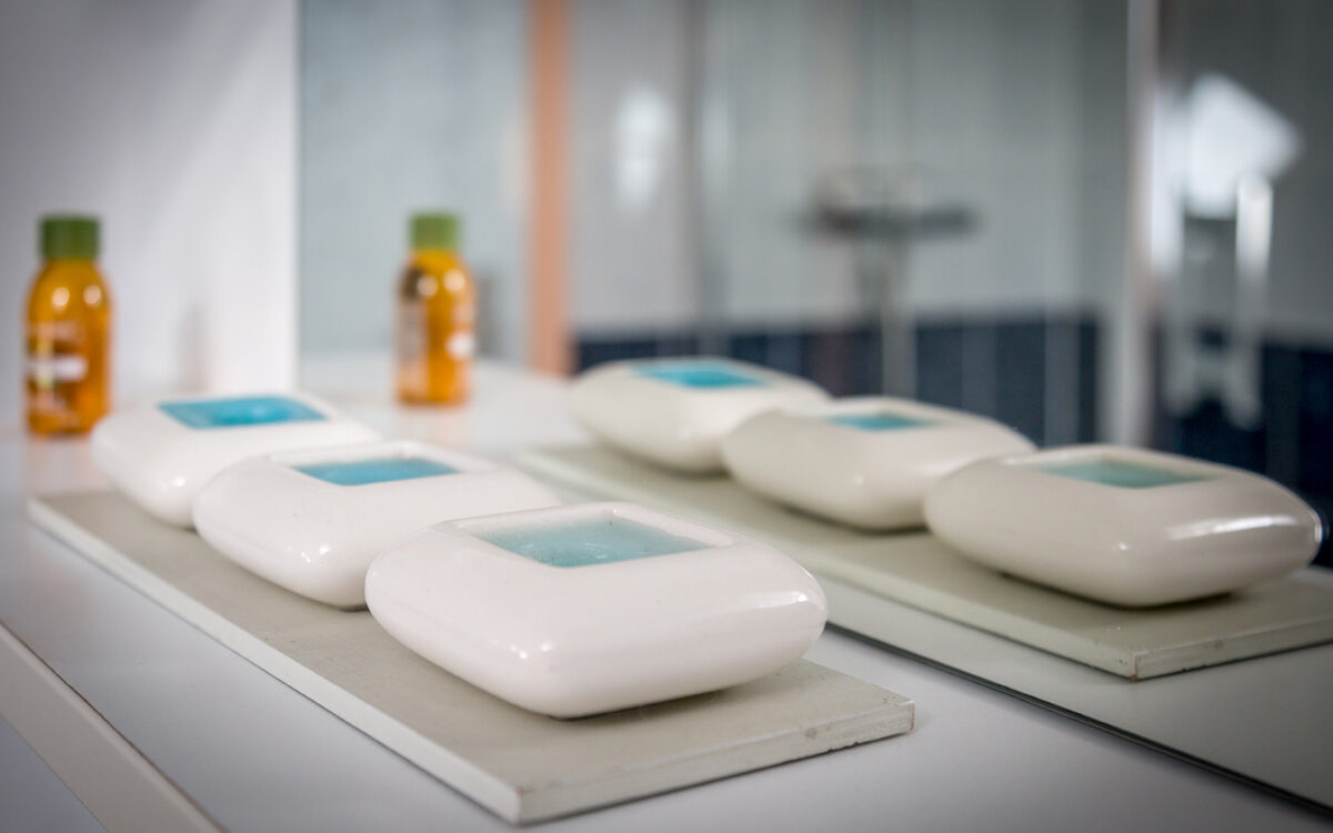 PIVOINES 4 1200X750 | Vins gîtes Fugler Comment s’organiser pour réussir vos vacances en chambre d’hôtes? Wittelsheim