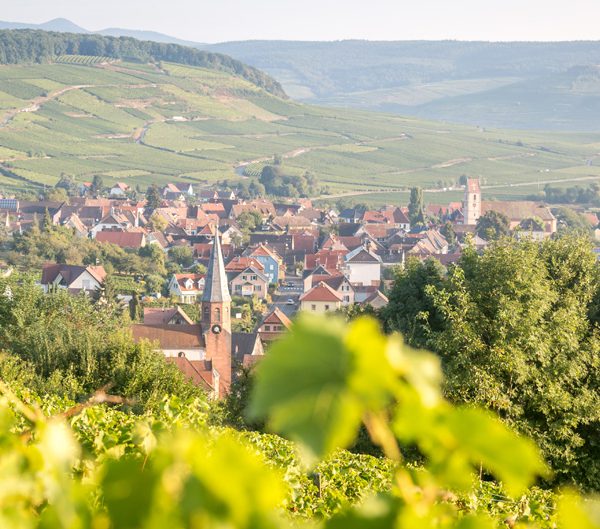 FUGLER ZIEGLER 4 600X529 | Vins gîtes Fugler Photos page d’accueil Wittelsheim 6