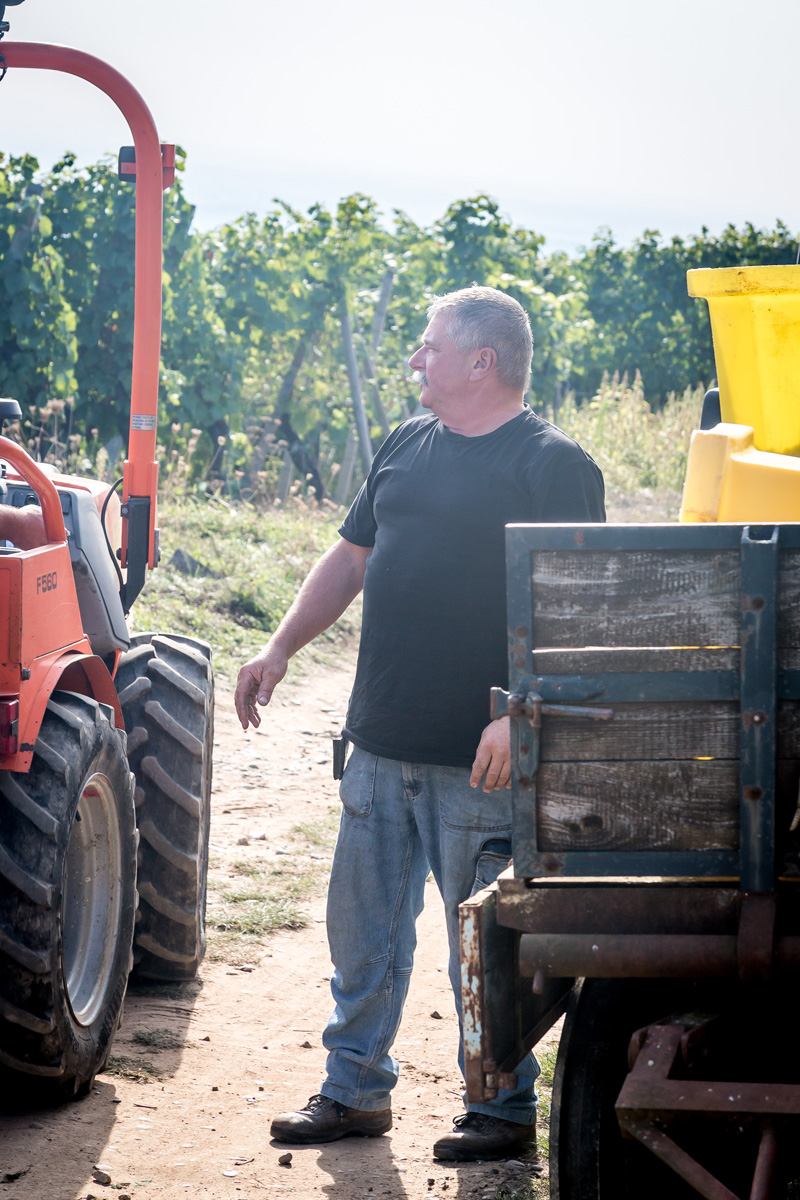 FUGLER ZIEGLER 62 | Vins gîtes Fugler À propos de Cave Ziegler-Fugler Guebwiller 1