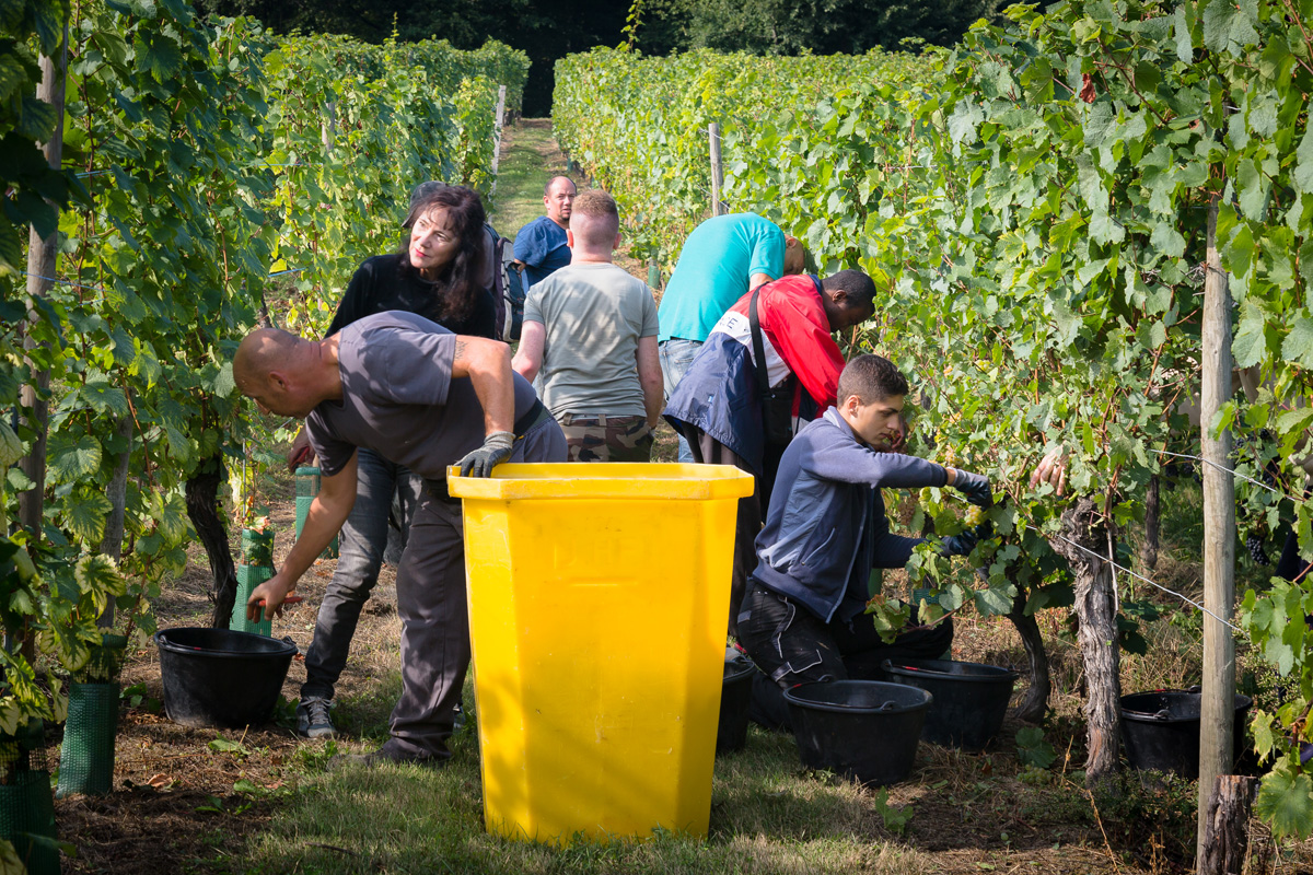FUGLER ZIEGLER 63 | Vins gîtes Fugler À propos de Cave Ziegler-Fugler Gérardmer 5