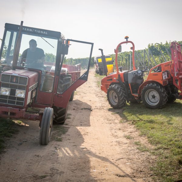 FUGLER ZIEGLER 64 600X600 | Vins gîtes Fugler Photos page d’accueil Kingersheim 4