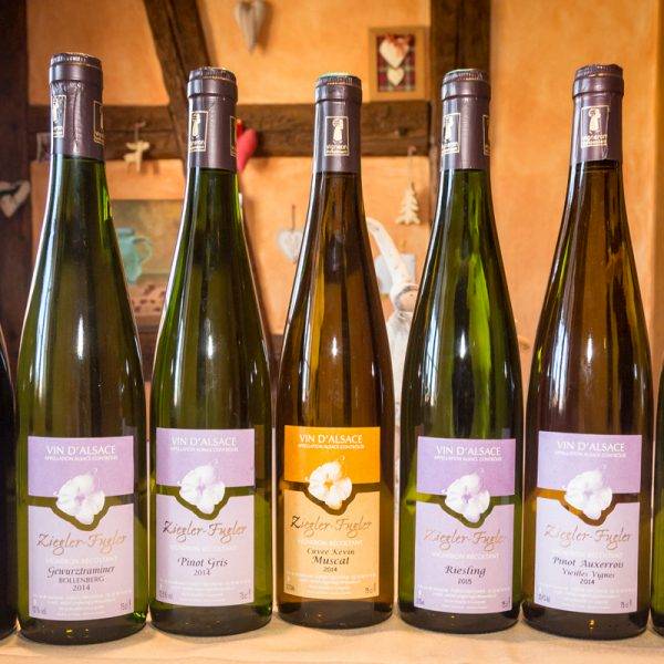 FUGLER ZIEGLER 37 600X600 | Vins gîtes Fugler Vins et achat de vin à Orschwihr Kingersheim 5