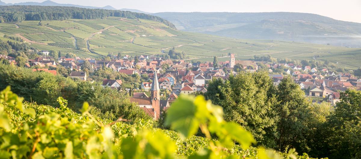 Comment l&#8217;écomusée d&#8217;Alsace contribue-t-il à la préservation des traditions viticoles ? Kingersheim