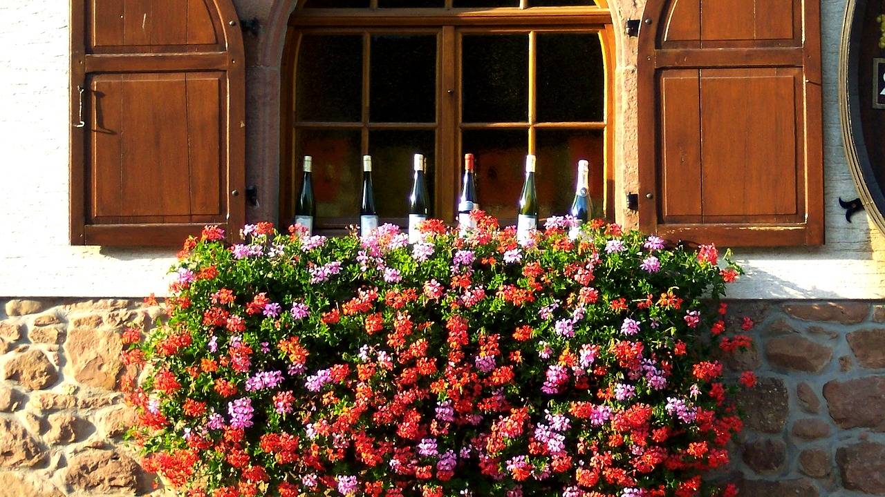 Les gîtes d&#8217;Alsace comme fenêtres sur la culture locale : que peut-on apprendre pendant son séjour ? Cernay